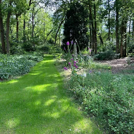 Bed & Breakfast Rietveld Laren (North Holland)